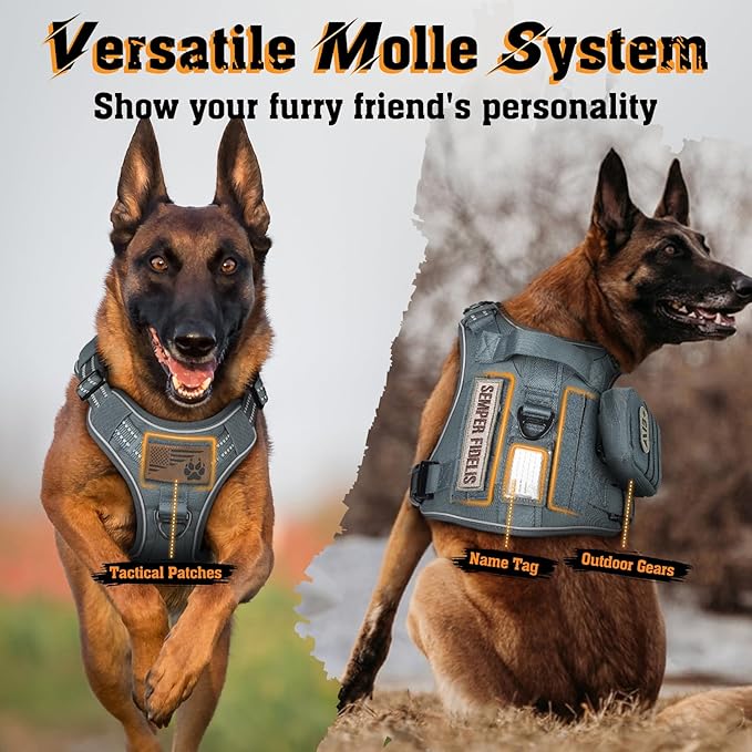 rabbitgoo Dog Harness Medium Sized No Pull, Tactical Service Dog Vest with Molle and Control Handle, Adjustable and Reflective Military Pet Harness for Easy Walking and Training, Grey, M