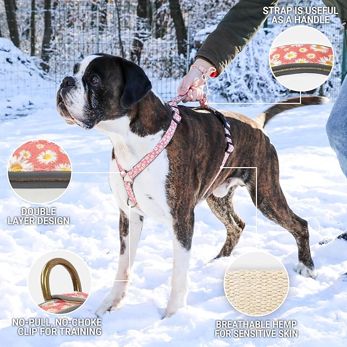 Pettsie No-Pull Dog Harness Reflective, 4 Adjustable Straps, Easy Control with 2 Leash Clips for Walking or Training, Matching Friendship Bracelet, Soft and Durable Hemp for Sensitive Skin, Gift Box