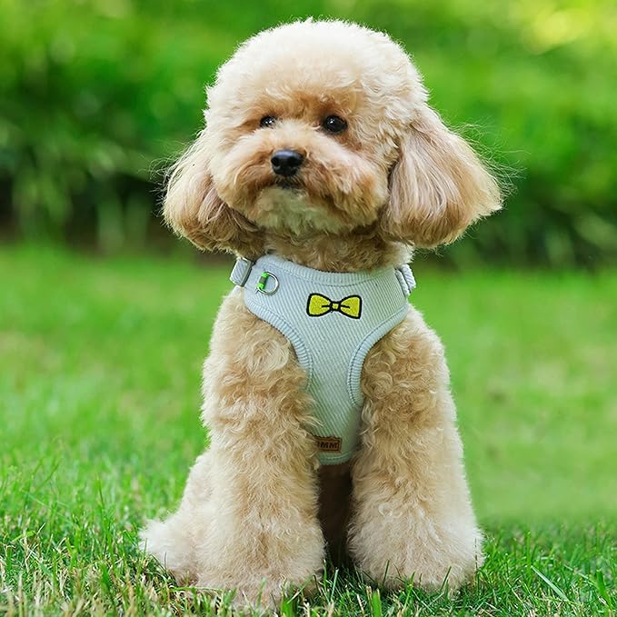 No Pull Dog Harness with Leash Pet Soft Vest Harness and Leash Set Dog Cat No Choke Escape Proof Harness Reflective Step in Harness for Small Medium Dogs Cats (Baby Blue, Large)