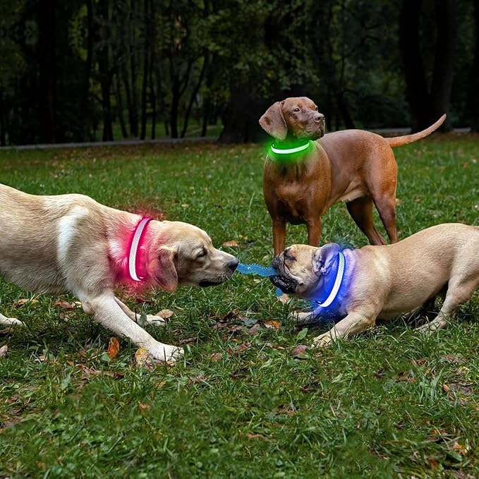 BSEEN Light Up Dog Collar - Rechargeable LED Dog Collar, Reflective Dog Collar, Adjustable Dog Glow Collar, Glowing Dog Lights for Large Dogs (Neon Green, Large)