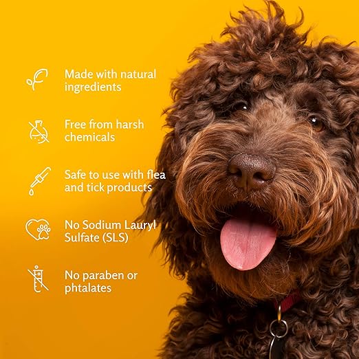 Arm & Hammer for Pets Super Deodorizing Shampoo for Dogs | Best Odor Eliminating Dog Shampoo | Great for All Dogs & Puppies, Fresh Kiwi Blossom Scent, 20 oz, 6-Pack