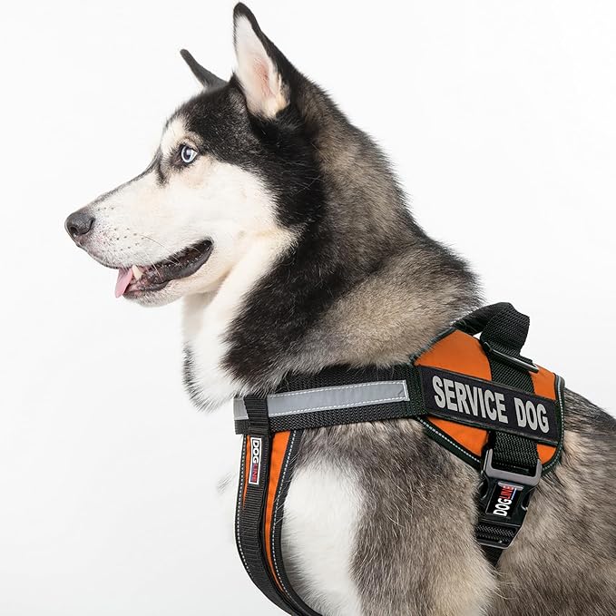 Dogline Unimax Service Dog Harness Vest with Removable Service Dog Patches Adjustable Straps Breathable Neoprene for Medical Identification Training Dogs Girth 15 to 19 in Orange