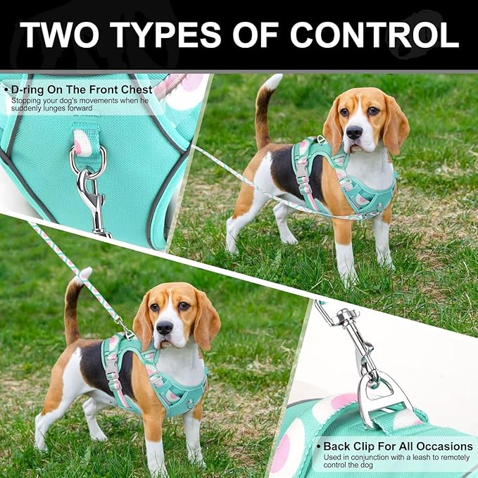 No Pull Dog Harness and Leash Set,Reflective Dog Harness with Easy Control Soft Handle,Adjustable and Comfortable for Easy Walking,Fit Small Medium Large Breed Dogs,Blue,L