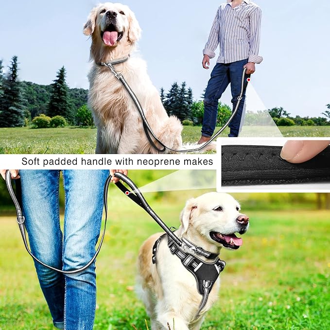 WINSEE Pet Harness Collar and Leash Set, All-in-one Reflective Dog Harness No Pull with Adjustable Buckles for Puppies, Small, Medium, Large, and Extra-Large Dogs (Medium, Black)