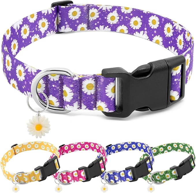 BiPawTi Purple Dog Collars - Cute Flower Collar for Small Dog with Daisies Charms, Pretty Floral Dogs Collar for Female Dogs Puppy Girls Boys Pet (S, Purple)