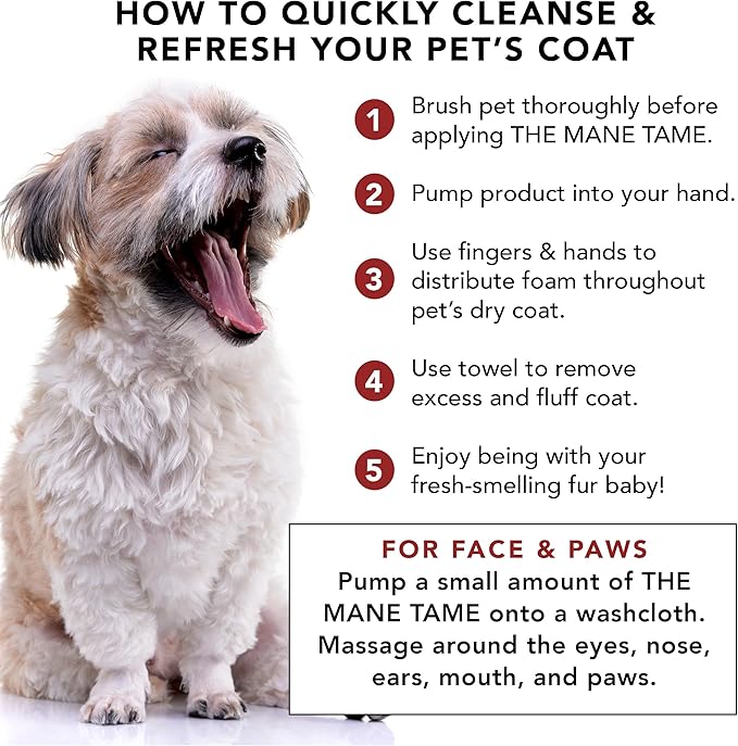 Pride and Groom The Mane Tame Waterless Dog Shampoo – Foaming Dry Shampoo for Dogs and Cats Made in USA for a Rinse Free Cleanse and to Eliminate Odor in Between Baths On-The-Go – 7.1 fl oz