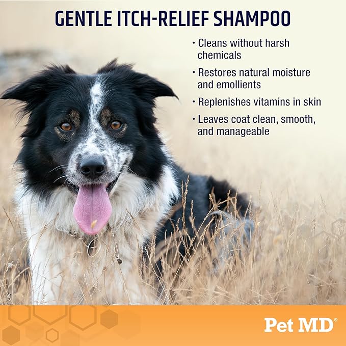 Pet MD - Oatmeal Dog Shampoo Cats and Dogs for Itch Relief and Moisturizer for Dry Skin and Coat - 16 Oz