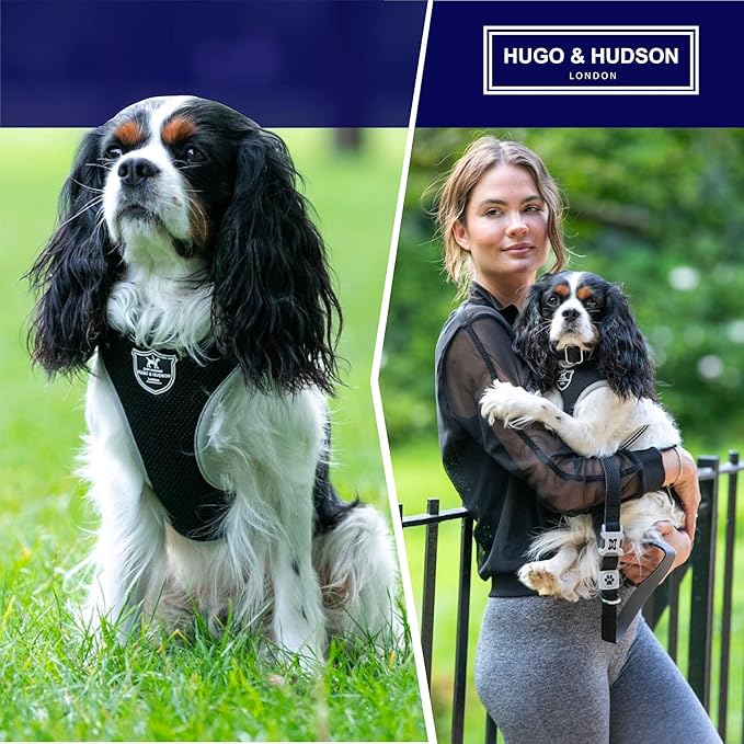 HUGO & HUDSON Dog Harness No-Pull Pet Harness Adjustable Quick Dry Mesh Padded Vest, Black, M