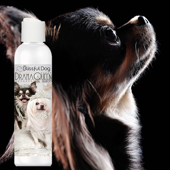 The Blissful Chihuahua Drama Queen Dog Shampoo, 16 oz.