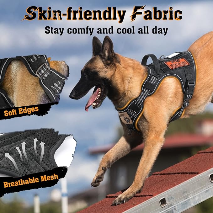 rabbitgoo Dog Harness Medium Sized No Pull, Tactical Service Dog Vest with Molle and Control Handle, Adjustable and Reflective Military Pet Harness for Easy Walking and Training, Black, M