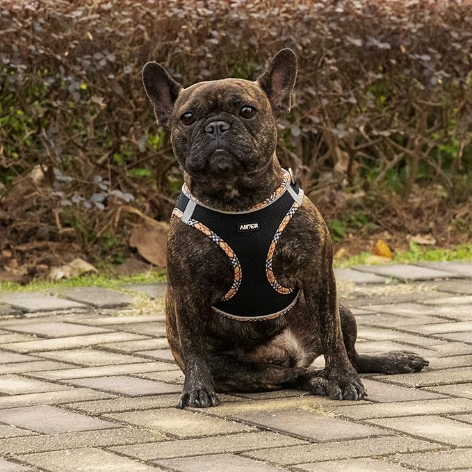 AMTOR Small Dog Harness with Leash Set, No Escape Easy Walk Puppy Harnesses for Training Walking, Step-in Reflective Soft Dogs Vest for XS S Medium Extra-Small Large Sized Dog(BlackYellow,XL)