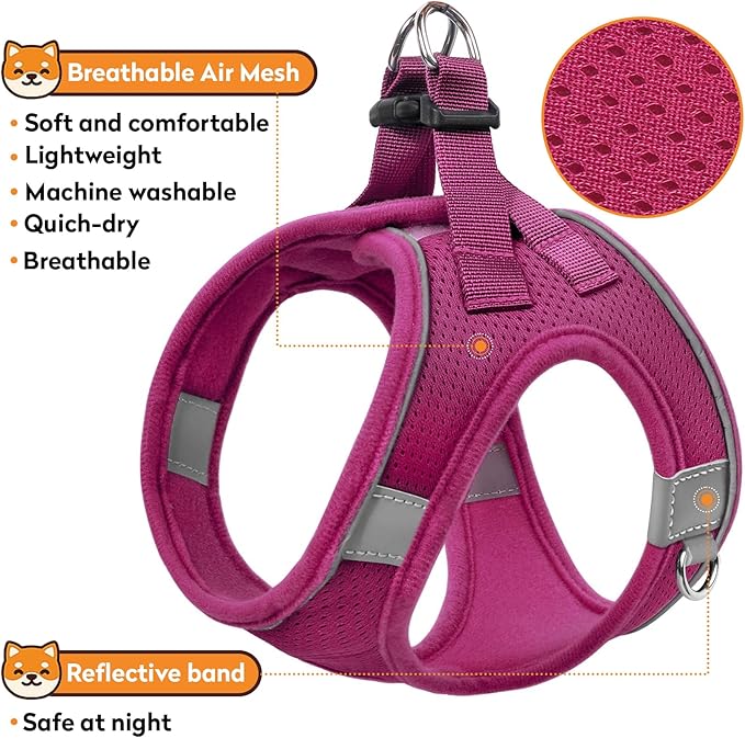 Dog Harness with Leash Set, No-Pull Step-in Reflective Pet Harness with 1 Leash Clips, Adjustable Soft Padded Easy Walk Dog Vest for Small Medium Large Dogs, Cats(Rose Red, XSmall)