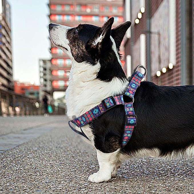 QQPETS Dog Harness Leash Set Adjustable Heavy Duty No Pull Halter Harnesses for Small Medium Large Breed Dogs Back Clip Anti-Twist Perfect for Walking