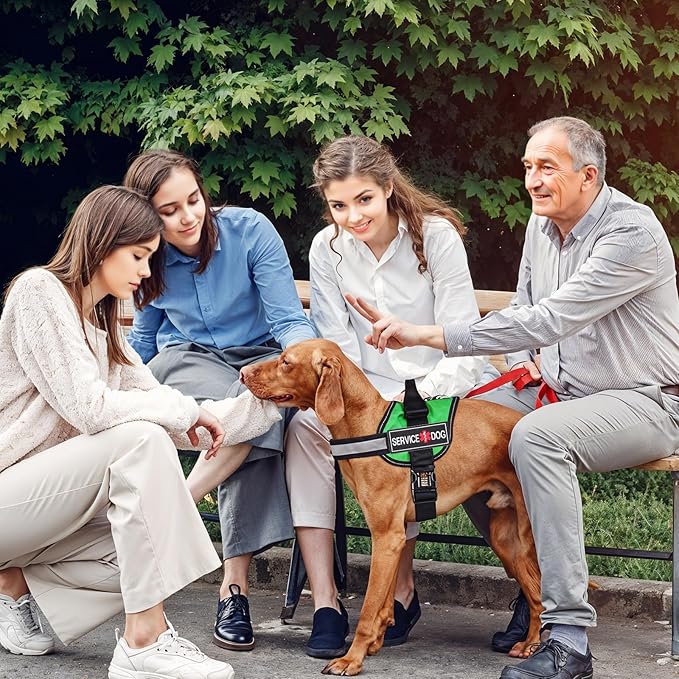 2Pcs Service Dog Patches for Harness, Removable Emotional Support Dog Vest Patches, Black in Training Dog Patch, Working Dog Applique Tactical Dog Equipment for Collar Leash (4×2'')