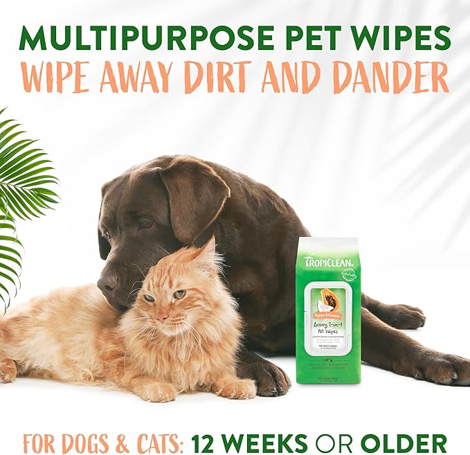 TropiClean Dog Wipes for Paws, Butt, Face, and Body, Anytime Cleaning and Deodorizing Pet Wipes, Safe for Licking, Papaya Scent, Cat Safe, 100ct