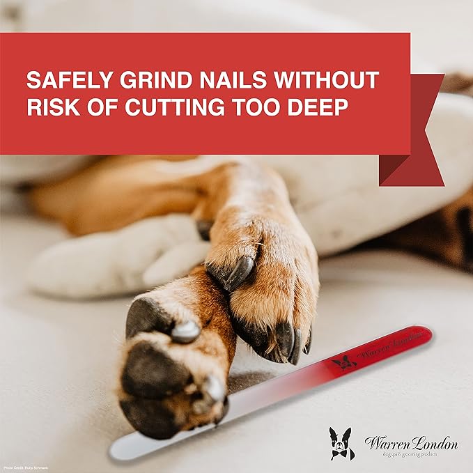 Warren London Glass Dog Nail File for Dogs- Sandblasted Glass Dog Nail Filer for Dogs- Best Dog File for Nails in Dog Claw Care