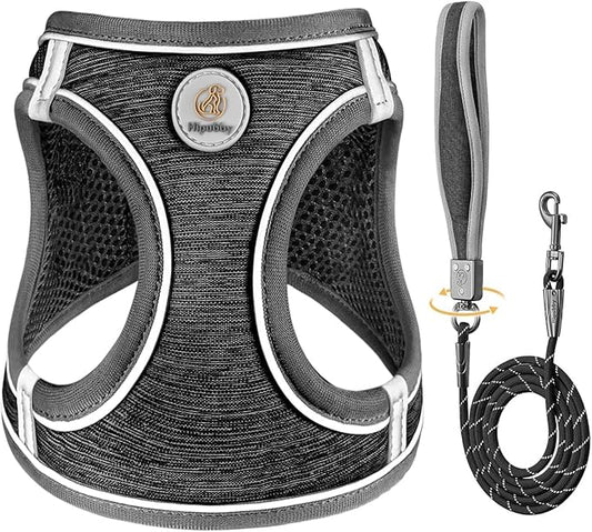 Dog Harness with Leash Set, Adjustable Soft Mesh Padded Reflective Dog Harnesse, Dog Leash with Soft Padded Handle, Puppy Harness and Leash Set for Walking,Training - Black, S