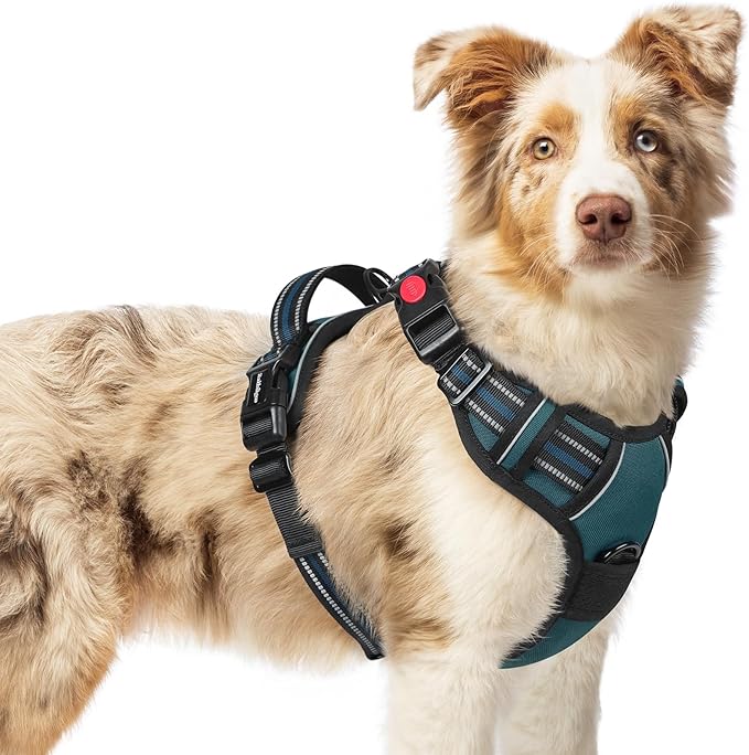 rabbitgoo Dog Harness Medium Sized, No Pull Pet Harness with 3 Buckles, Adjustable Soft Padded Dog Vest with Instant Control Handle, Easy Walking Reflective Pet Vest for Medium Dogs, Blue Coral, M