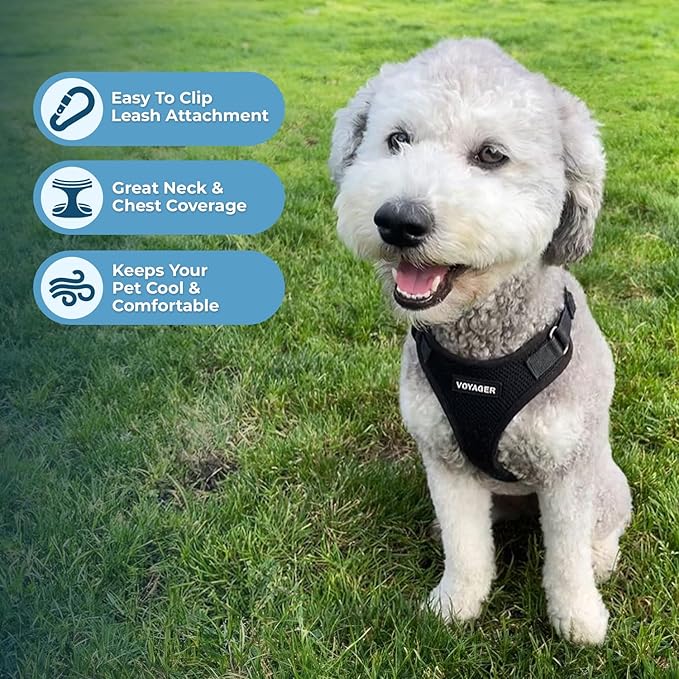 Voyager Step-in Lock Pet Harness - All Weather Mesh, Adjustable Step in Harness for Cats and Dogs by Best Pet Supplies - Black, L