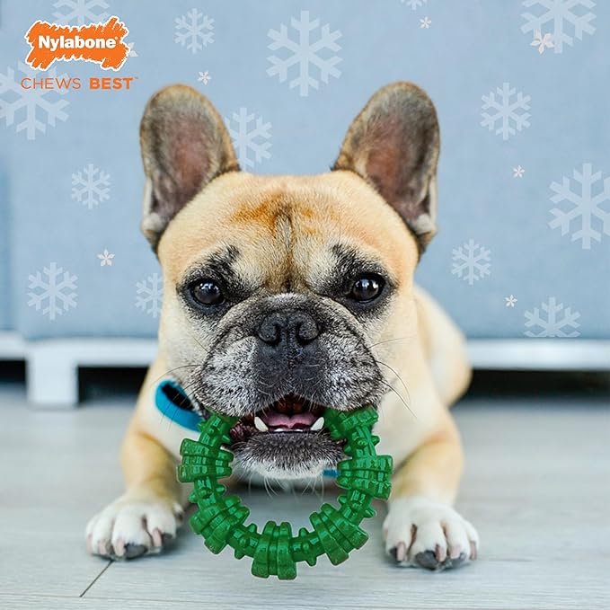 Nylabone Power Chew Textured Ring Dog Toy, Dog Chew Toys for Aggressive Chewers, Winter Green Flavor, Small/Regular - Up to 25 lbs. (1 Count)