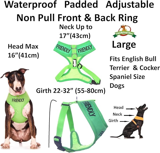 FRIENDLY (Known as Friendly to all) Green Color Coded Non-Pull Front and Back D Ring Padded and Waterproof Vest Dog Harness PREVENTS Accidents By Warning Others Of Your Dog In Advance (L)