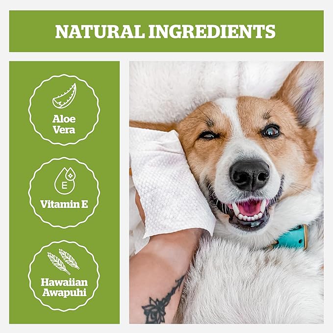 Pogi’s Dog Grooming Wipes – Hypoallergenic Pet Wipes for Paws, Body & Butt – Cleaning & Hydrating, Fragrance Free, 100-Count