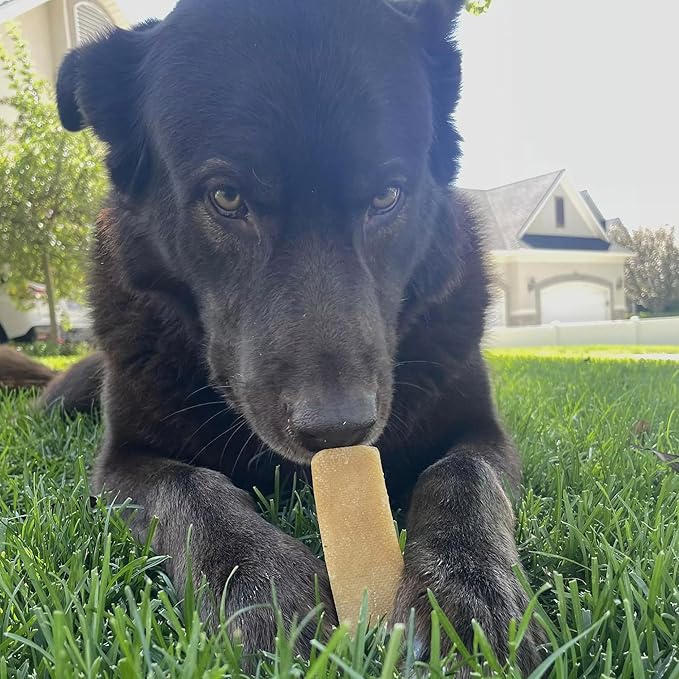 Pupford Yak Cheese Himalayan Dog Chews | for Aggressive Chewers | Durable & Long-Lasting Chews for Teething Puppies & Dogs Simple, Natural Ingredients, Low Calorie, Delicious Treat