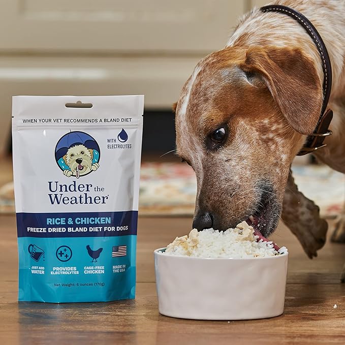 Under the Weather Bland Diet for Dogs | Easy to Digest for Sick Dogs | Always Be Ready | Contains Electrolytes - All Natural Freeze Dried 100% Human Grade Meats | 1 Pack - Chicken, Rice - 6oz