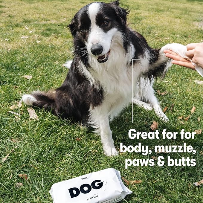 DOG by Dr Lisa - Dog Wipes - Plant-Based, Natural Bathing Wipes for Dogs - Made from 100% Compostable Bamboo - Vet-Created - Vegan, Non-Toxic - 480 Count…