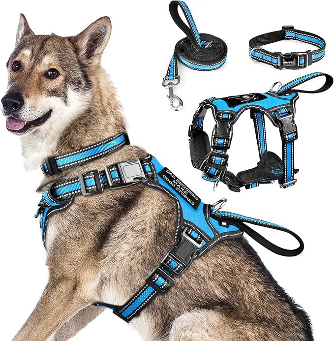 WINSEE Pet Harness Collar and Leash Set, All-in-one Reflective Dog Harness No Pull with Adjustable Buckles for Puppies, Small, Medium, Large, and Extra-Large Dogs (X-Large, Blue)