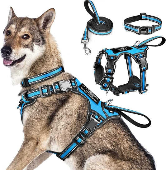 WINSEE Pet Harness Collar and Leash Set, All-in-one Reflective Dog Harness No Pull with Adjustable Buckles for Puppies, Small, Medium, Large, and Extra-Large Dogs (X-Large, Blue)