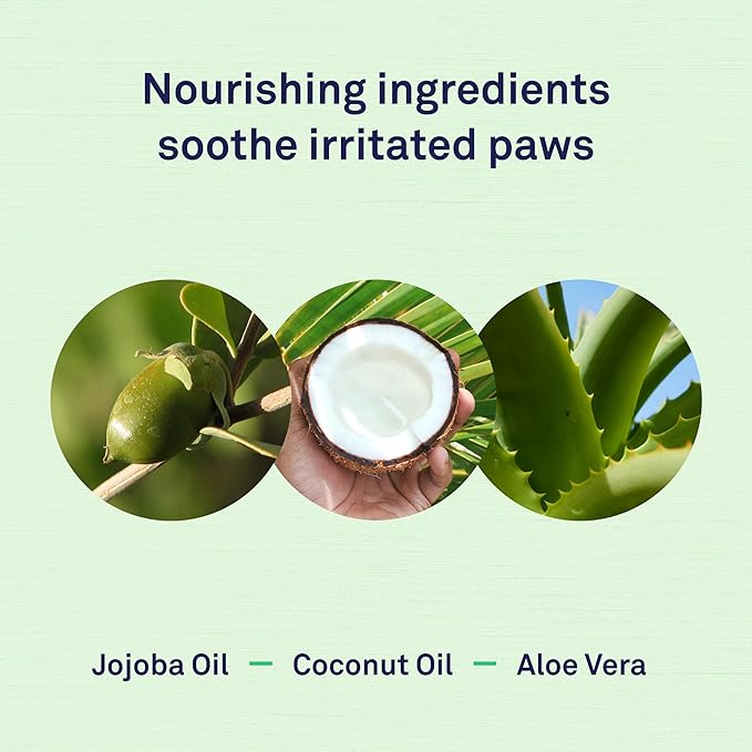 Petpost | Paw Wipes for Dogs - Nourishing, Revitalizing Dog Paw Cleaner with Coconut Oil, Jojoba Oil, and Aloe - Ultra Soft Cotton Pads - Cherry Blossom Scent 70 ct.