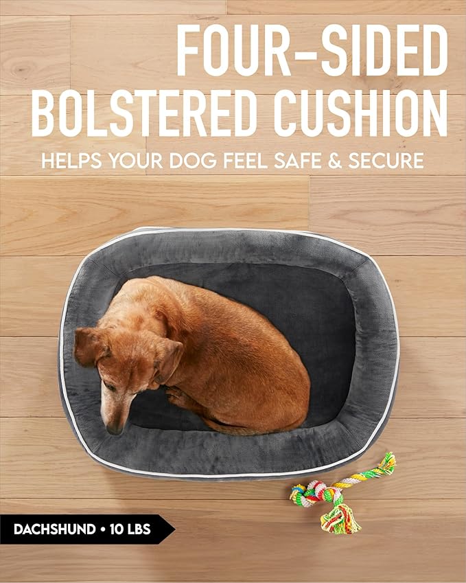 OhGeni Orthopedic Dog Bed for Small Dogs, Dog Couch Design with Egg Foam Support, Removable, Machine Washable Plush Cover and Non-Slip Bottom with Four Sided Bolster Cushion (Gray)