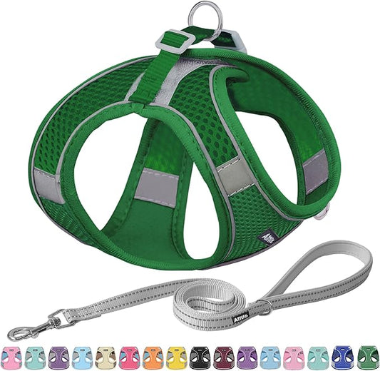 AIITLE Easy Walk Dog Harness and Leash Set - Pet Supply No Pull, Step in Adjustable Dog Harness with Padded Vest for Spring, Dog Harness No Choke Over, Easy to Put on Medium Dogs Green L