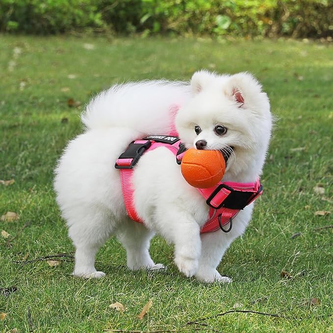 Demigreat Service Dog Harness, Reflective Dog Vest Harness with 5 PCS Patches, Adjustable Soft Oxford Pet Harness, Inner Layer Mesh, Easy to Control for Small Medium Large Dogs