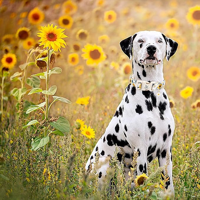 Elegant little tail Dog Collar,Sunflower Pattern Pet Collar Cute Durable Spring Female or Male Adjustable Cotton Pet Collar with Quick Release Buckle for Medium Dogs