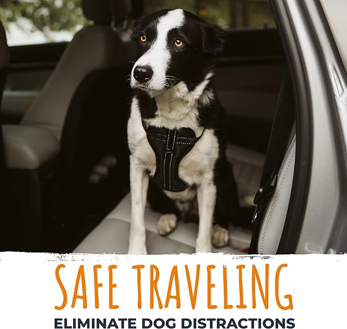 Mighty Paw Dog Car Safety Belt - Dog Seatbelt Ensures Pet Protection While Driving - Seatbelt for Dogs for Car - Dog Vehicle Accessory - Dog Car Seat Belt Attachment - Car Leash Restraint System