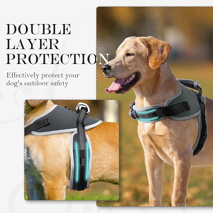 Reflective No Pull Dog Harness for Medium Dogs, Easy Control Dog Vest Harness, Breathable Mesh Harness, Comfortable and Adjustable, Metal Ring and Control Handle, Gray M