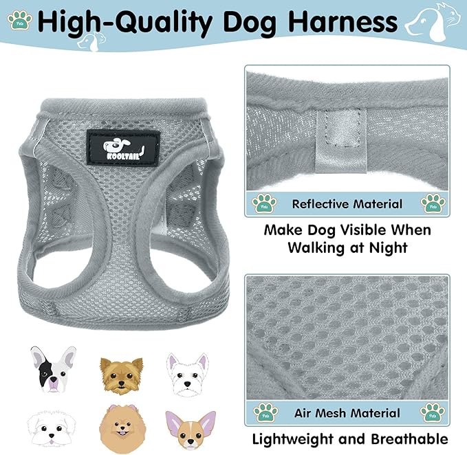 Breathable Air Mesh Dog Harness with Reflective Leash, Adjustable No Pull Step in Vest Harness for Small Dogs Puppies Cats, Grey, Small