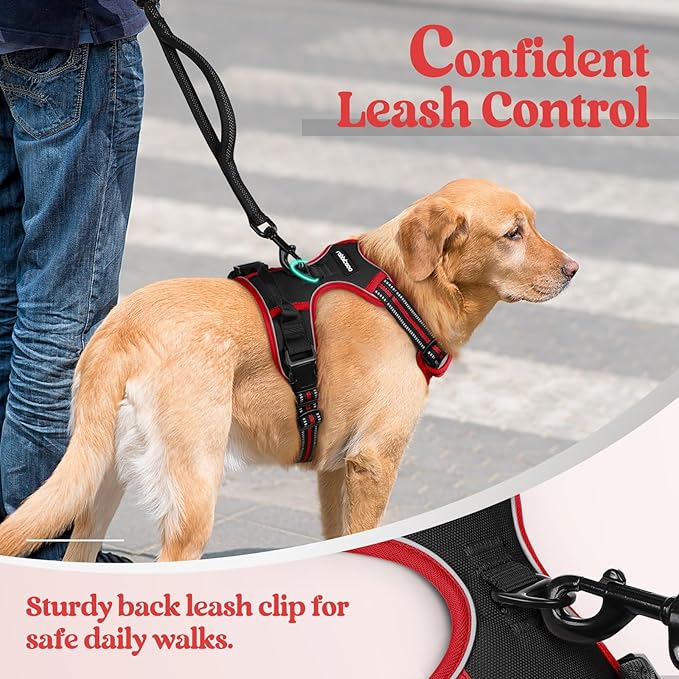 rabbitgoo Dog Harness, No-Pull Pet Harness with 2 Leash Clips, Adjustable Soft Padded Dog Vest, Reflective No-Choke Pet Oxford Vest with Easy Control Handle for Large Dogs, Black & Red, S