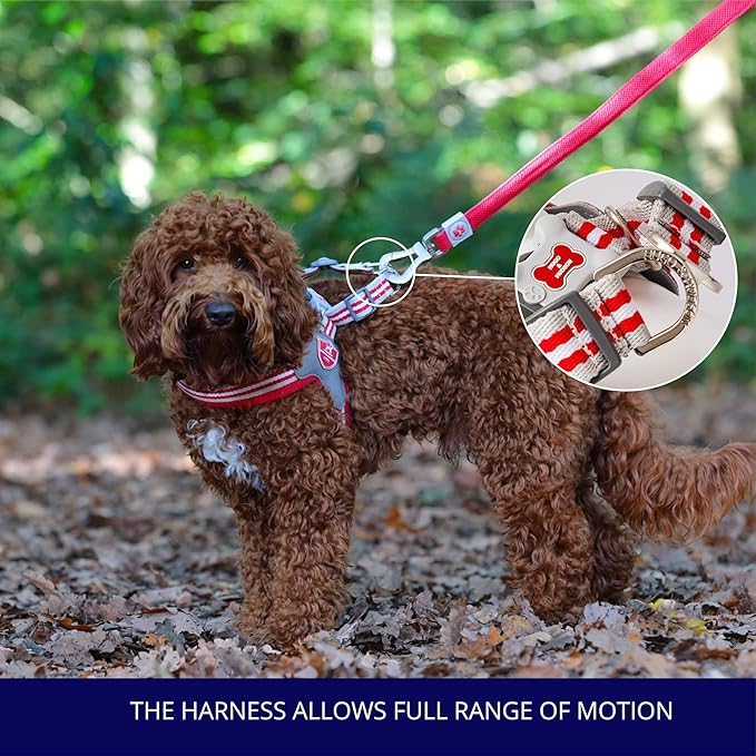 HUGO & HUDSON Easy Walk Dog Harness, Adjustable Quick Dry No-Pull Pet Harness, Red, Size 8