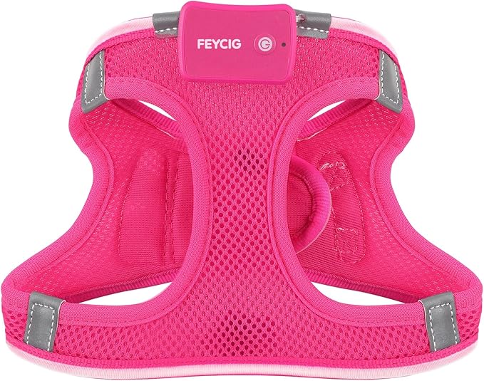 Light Up Dog Harness,LED Dog Harness Rechargeable, Lighted Dog Vest Harness for Night Walking,Reflective Safety Vest for Small Medium Large Dogs,Adjustable Soft Mesh,Pink,XS