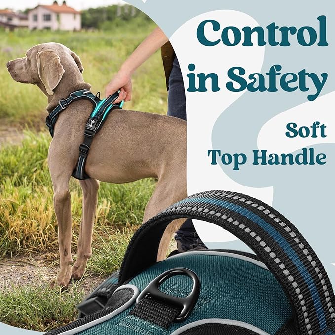 rabbitgoo Dog Harness Medium Sized, No Pull Pet Harness with 3 Buckles, Adjustable Soft Padded Dog Vest with Instant Control Handle, Easy Walking Reflective Pet Vest for Medium Dogs, Blue Coral, M