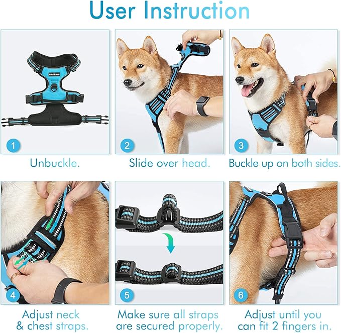 rabbitgoo Dog Harness, No-Pull Pet Harness with 2 Leash Clips, Adjustable Soft Padded Dog Vest, Reflective No-Choke Pet Oxford Vest with Easy Control Handle for Large Dogs, Blue, XL