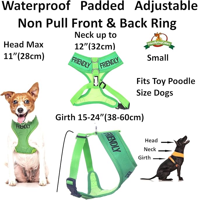 Friendly (Known as Friendly to All) Green Colour Coded Non-Pull Front and Back D Ring Padded and Waterproof Vest Dog Harness Prevents Accidents by Warning Others of Your Dog in Advance (S)