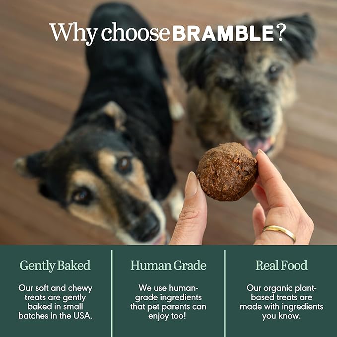 BRAMBLE Dog Treats. Plant-Based Treats for Dogs, Wheat-Free Everyday Dog Treats. Maple Bac'n, Made with Real Ingredients, Soft & Chewy Cookies. 8 oz