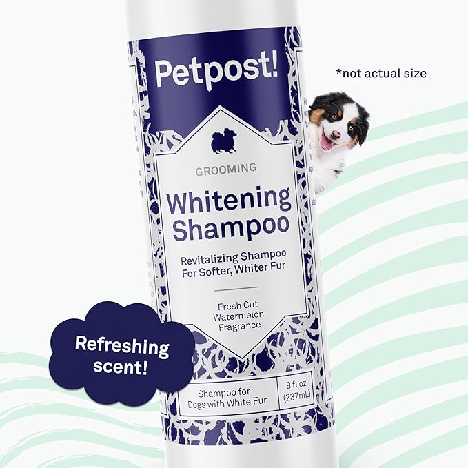Petpost | Dog Whitening Shampoo - Best Lightening Treatment for Dogs with White Fur - Soothing Watermelon Scent - Maltese, Shih Tzu, Bichon Frise Approved 8 oz.
