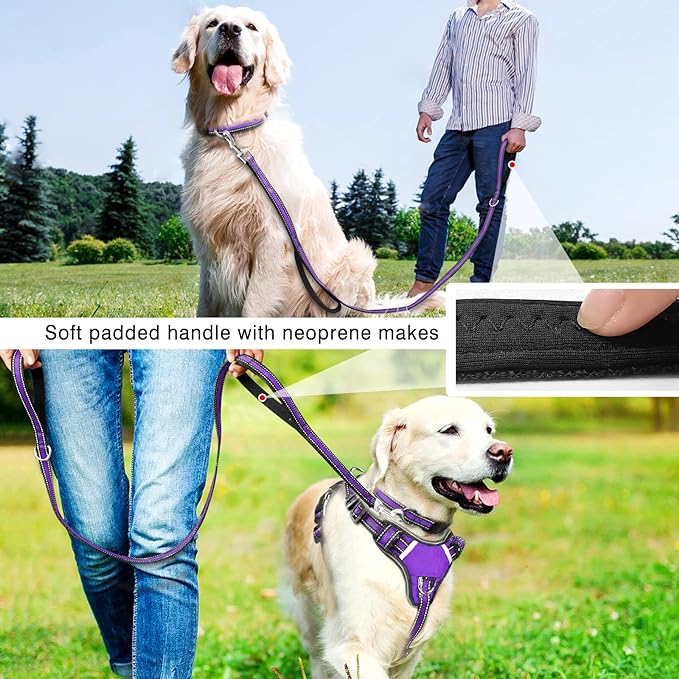 WINSEE Pet Harness Collar and Leash Set, All-in-one Reflective Dog Harness No Pull with Adjustable Buckles for Puppies, Small, Medium, Large, and Extra-Large Dogs (Large, Rosy)