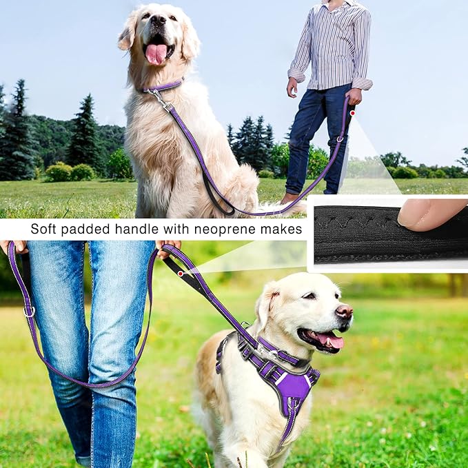 WINSEE Pet Harness Collar and Leash Set, All-in-one Reflective Dog Harness No Pull with Adjustable Buckles for Puppies, Small, Medium, Large, and Extra-Large Dogs (Large, Purple)