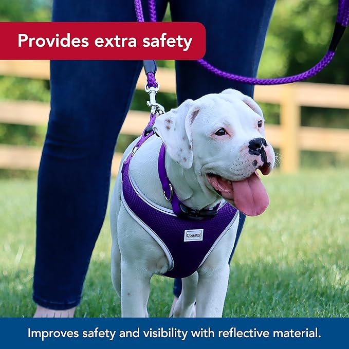 Coastal Pet Comfort Soft Reflective Wrap Adjustable Dog Harness - No-Pull Dog Harness for Small & Large Dogs - Purple - 1" x 28"–36"